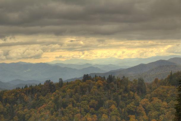 You cant close nature Smoky Mountains Fall  OC 