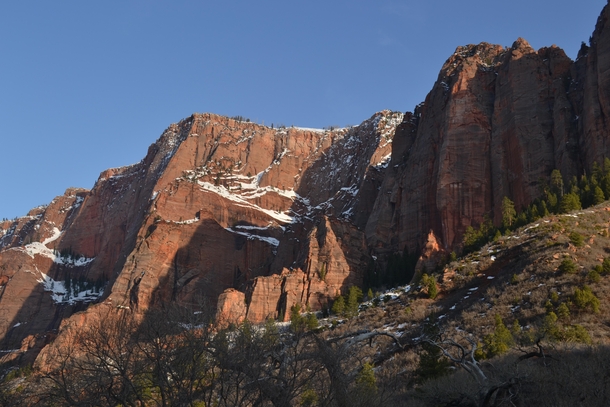 Youve gotta love the snowy red cliffs of Zion National Park 