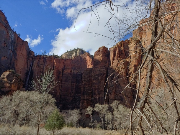 Zion National Park Utah this is a view we normal people not hiking or climbing just riding the shuttle bus see in the early Spring  OC