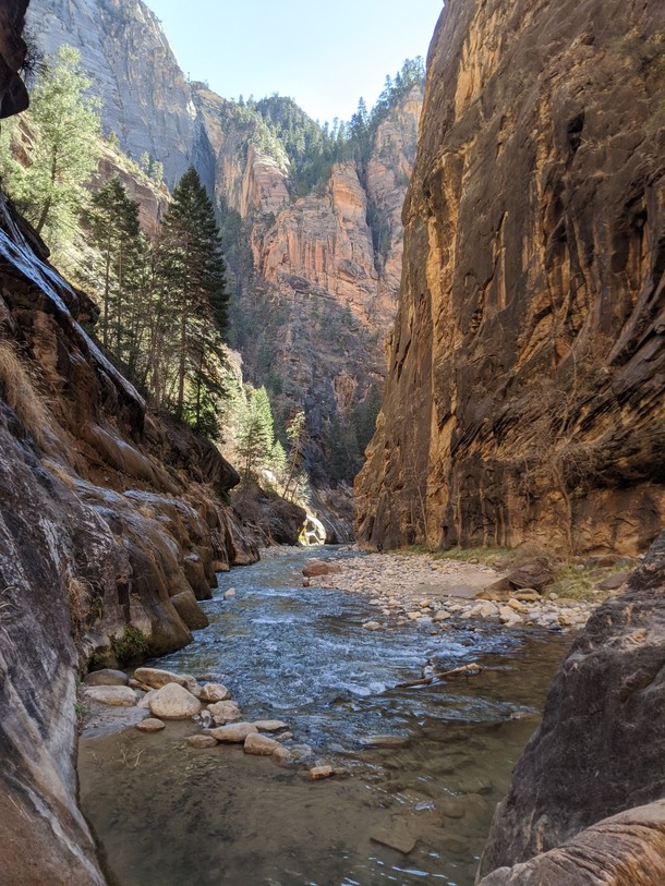 Zion NP Utah The Narrows in February x 