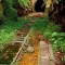 Abandoned Railway and Tunnel in Australia x