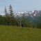 Alpine meadow on Blackerby Ridge a short hike from Juneau Alaska 