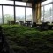 Mossy table tops at an abandoned hotel in Japan 