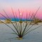White Sands graced us with a colorful sunset - 