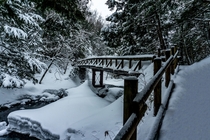  A Footbridge at Zengoro Falls Nagano