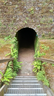  Abandoned Coal Pit Tunnel Northern England Resolution Unknown