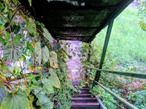  Abandoned overgrown staircase in abandoned factory Richmond VA