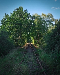  Abandoned railway in the middle of the forest