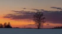  after almost a month of endless snowy days I at last  was able to see quite pretty sunset I have just taken this photo near my second house in country side Mary-El Russia 