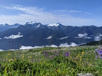  Alpine meadows in full bloom Photo I took today from the High Divide Trail Mt Olympus Olympic National Park WA USA