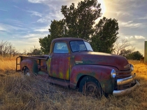  An Old Chevy  Left Out To Pasture