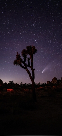  Comet Neowise Joshua Tree National Park   x 