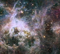  Doradus located in the heart of the Tarantula nebula is the brightest star-forming region in our galactic neighborhood The nebula resides  light-years away in the Large Magellanic Cloud Links to very large images in comments 
