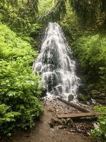  Fairy Falls Wahkeena Falls Trail No  Columbia River Gorge Oregon x