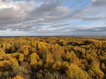  Fall in Estonia Harimgi