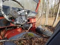  Forest Edition Jeep Newborn GA