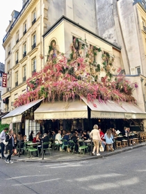  France - Paris - A restaurant full of flowers Maison Sauvage It is located in the th arrondissement of Paris on the Rive Gauche side