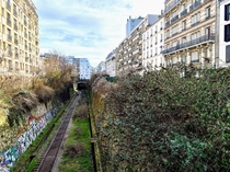 France - Paris  - The disused line of the Petite Ceinture below the rue de Coulmiers
