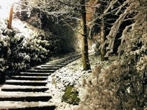  France - Val-de-Marne - The staircase under the snow