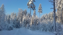  From my trip to Finland a year ago x