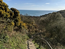  Hastings Country Park England x