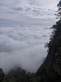  Head above the clouds Kodaikanal India