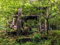  Hidden cabin Abandoned Nashville IN