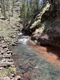 High mountain river in NM