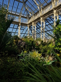  I miss visiting Kew Gardens