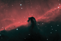  I took a picture of the Horsehead Nebula from my backyard