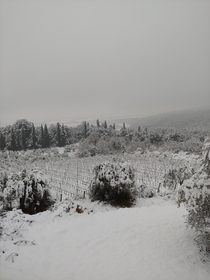 January  near Siena Tuscany Italy