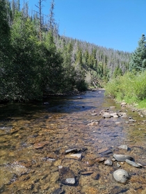  Little stream right next to Denver Creek Campground Sept  Gorgeous to look at but so cold x