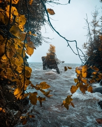  Moody fall morning in Minnesotas north shore