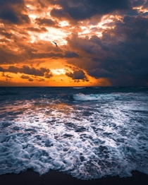  Moody sunrise in Juno beach FL resolution  x 