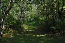  Path to the Hidden Grove - Lake Elmo Park Reserve MN
