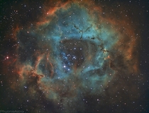  Rosette  Skull Nebula
