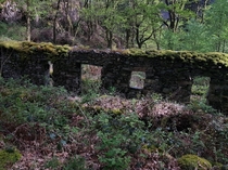  Ruins on the Hafod y Llan circular trail North Wales
