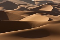  Sand Dunes in Mongolia Asia  Ptiyatkina Sergey