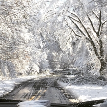  Snow storm in Georgia USA