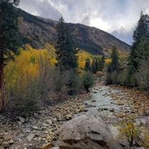  some fall colors in Aspen CO