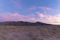  Standing on the Dunes Mojave desert in California