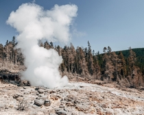  Steamboat Geyser at Yellowstone National Park WY USA