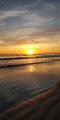  Sunrise at Daytona Beach Florida  pixels