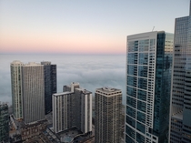  The fog rolling into Chicago Illinois