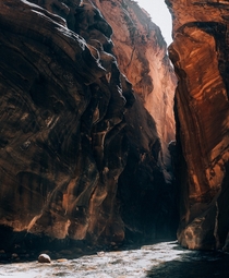  The Narrows in Zion National Park IG Maverickocean