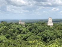  Tikal Peten Guatemala
