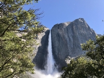  Upper Yosemite Falls CA USA