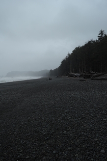  Washington coast I would say its desaturated but its not I miss that coast