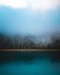  Waterfowl Lakes - Banff National Park Alberta zane__olson x