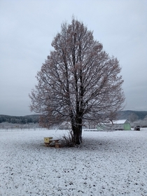  Winter in Romnia